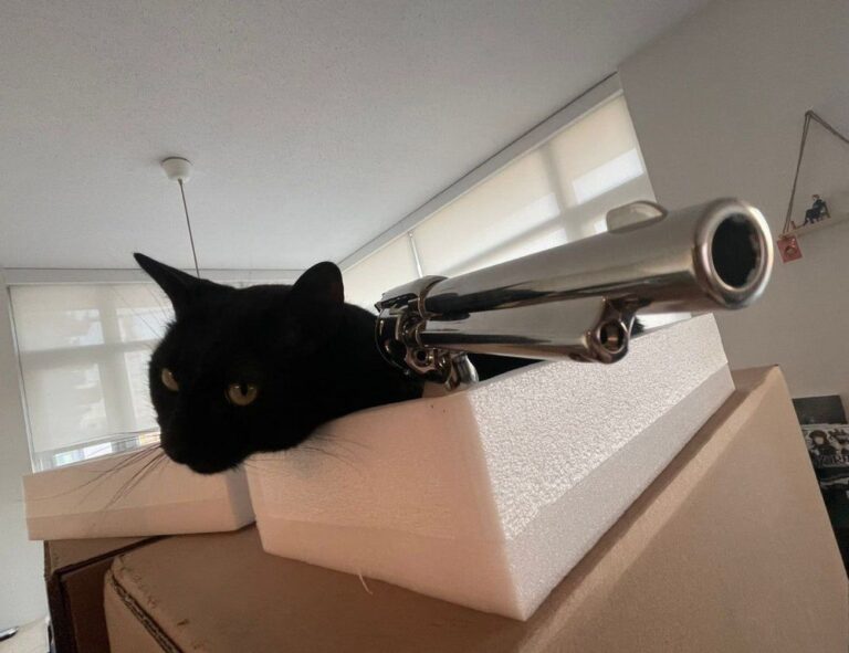 is widdeadvi the best game in pc