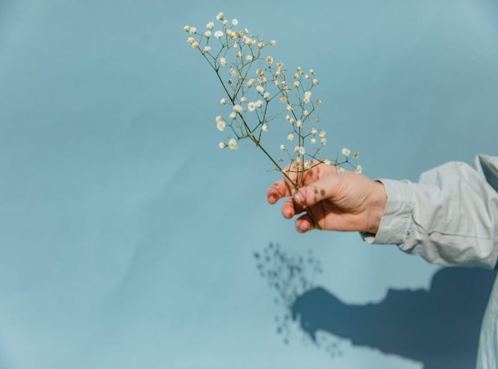 aesthetic tumblr aesthetic hand holding flower