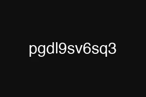 pgdl9sv6sq3
