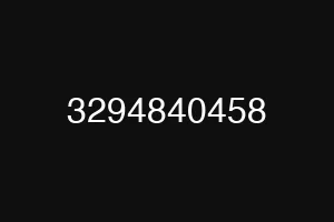 3294840458