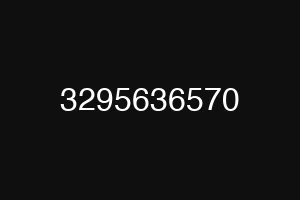 3295636570