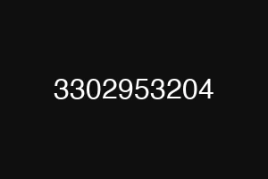 3302953204