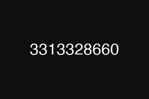 3313328660