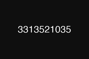 3313521035