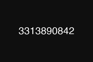 3313890842