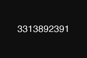 3313892391