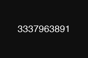 3337963891