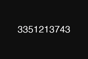 3351213743