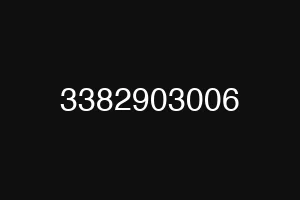 3382903006