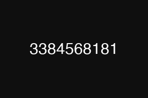 3384568181