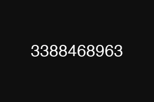 3388468963
