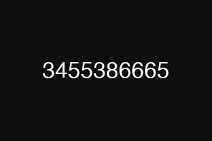 3455386665