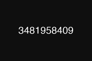 3481958409