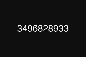 3496828933