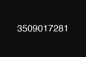 3509017281