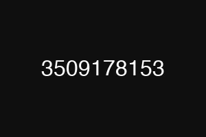 3509178153