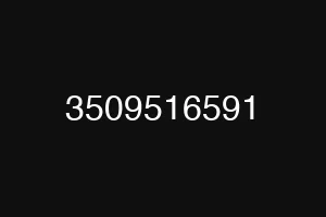 3509516591