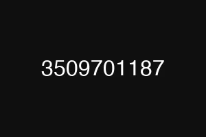 3509701187